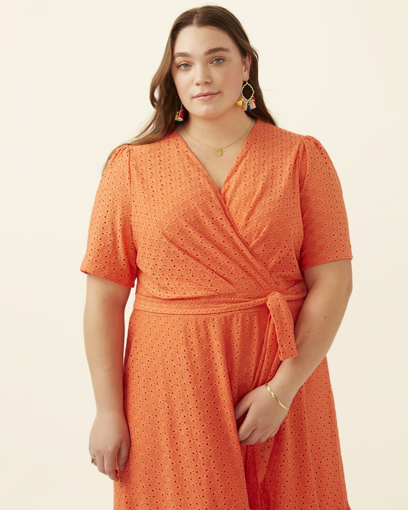 Front of plus size Paulina Embroidered Faux-Wrap Dress by Adorned | Dia&Co | dia_product_style_image_id:192851